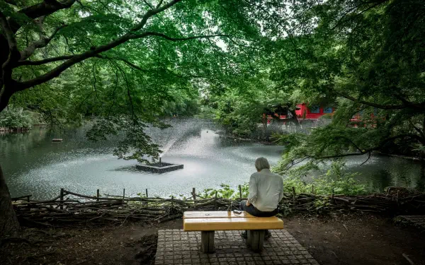 garden man man made HD Desktop Wallpaper | Background Image