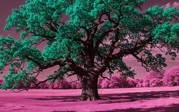 A vibrant oak tree stands prominently, surrounded by a colorful landscape in this 4K Ultra HD desktop wallpaper, showcasing vivid greens and pinks.