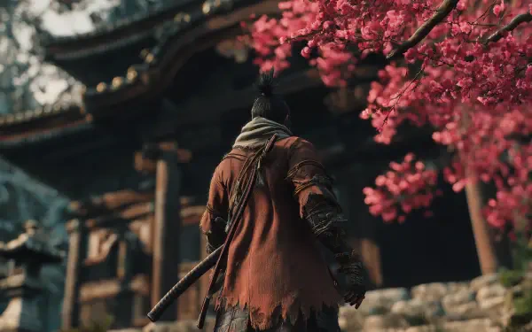 HD PC wallpaper of Sekiro from Sekiro: Shadows Die Twice by FromSoftware, standing beneath vibrant cherry blossoms near a traditional Japanese temple.