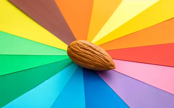 A single almond resting on a vibrant, multicolored fan of paper, captured in sharp detail as a 4K Ultra HD PC desktop wallpaper and background.