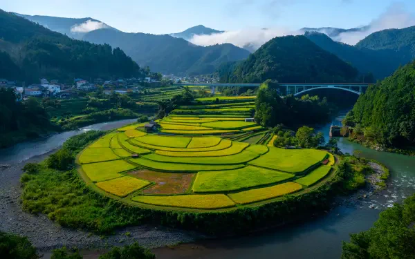 Lush terraced grass fields on Aragi Island surrounded by a river and mountains under a clear sky, captured in 4K Ultra HD for a vibrant desktop wallpaper.