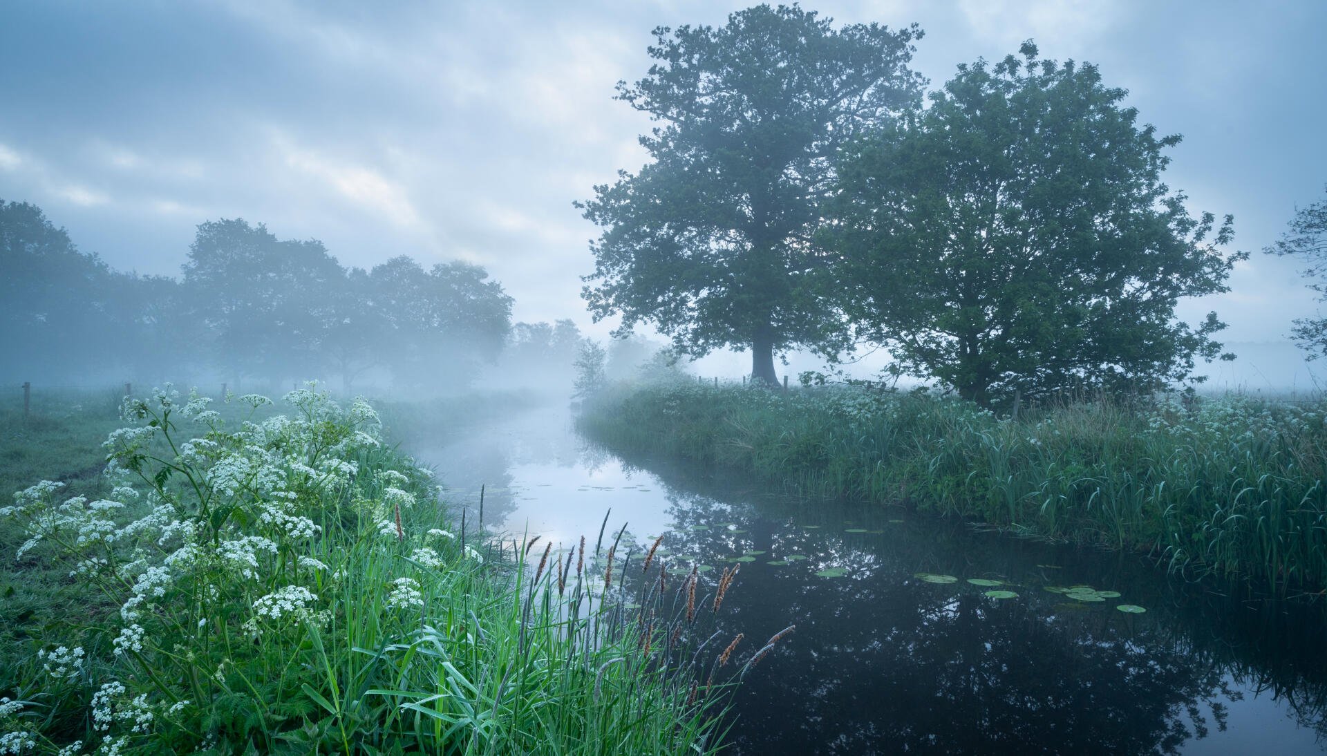 Misty river winding through grassy banks under a cloudy sky, white wildflowers at the water’s edge — 5K Ultra HD PC desktop wallpaper of tranquil nature.