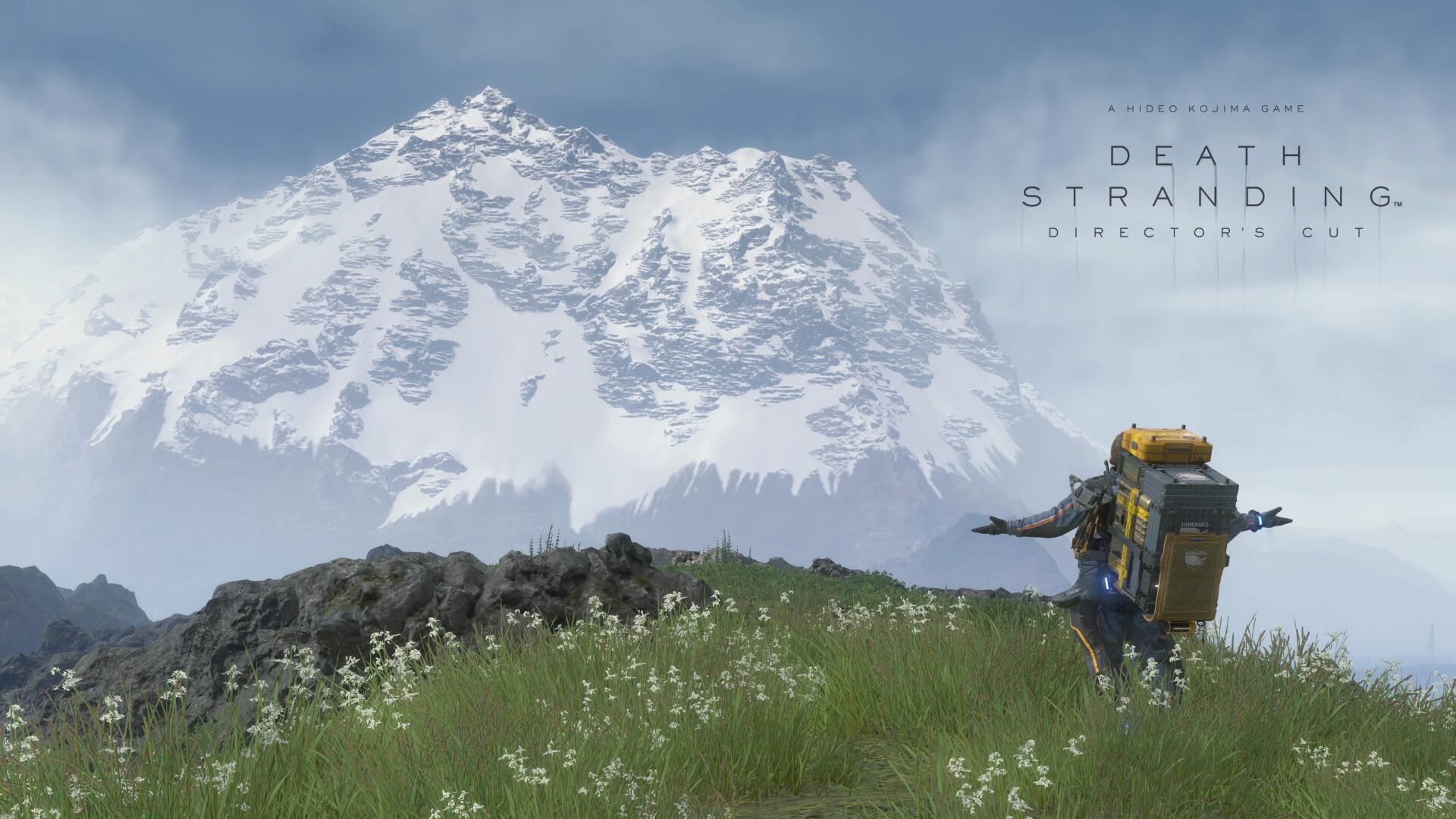 4K Ultra HD PC desktop wallpaper/background of a Death Stranding video game scene: a lone porter with cargo walks through flowered tundra toward a snow-capped mountain under a cloudy sky.