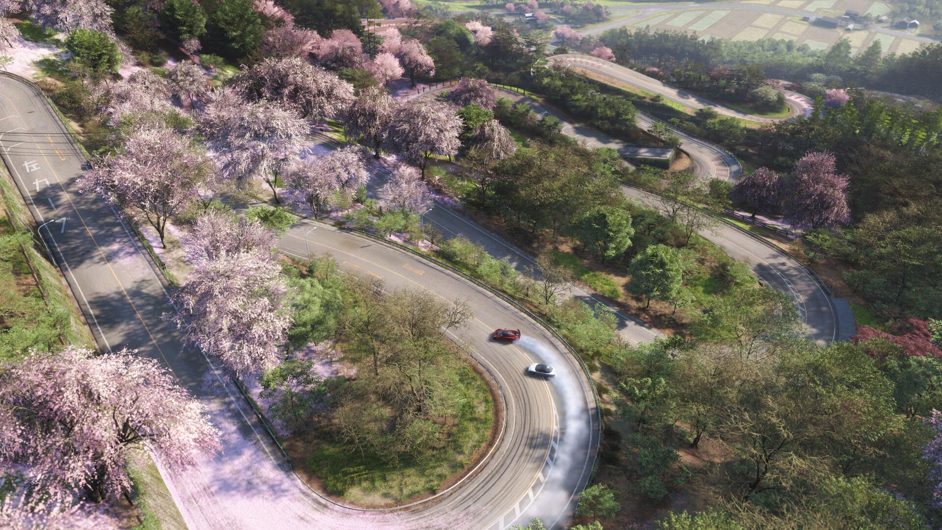 Aerial view of winding mountain road lined with pink blossom trees, sports cars drifting — Forza Horizon 6 4K Ultra HD PC desktop wallpaper/background.