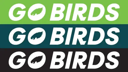 HD PC desktop wallpaper, sports football theme: Philadelphia Eagles NFL graphic with three horizontal bands (green, dark teal, black) each displaying GO BIRDS and the Eagles logo.