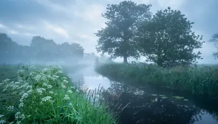 Misty river winding through grassy banks under a cloudy sky, white wildflowers at the water’s edge — 5K Ultra HD PC desktop wallpaper of tranquil nature.