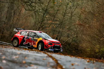 WRC Citroen C3 racing on a wet forest road, Red Bull-liveried Citroen WRC in motion — 2K Quad HD PC desktop wallpaper and background.