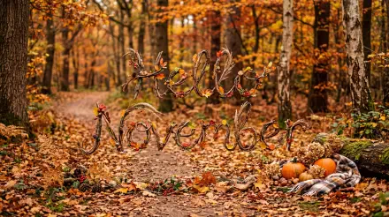 Hello November script formed from branches over a leaf-strewn forest path with pumpkins, 5K Ultra HD PC desktop wallpaper/background capturing rich autumn colors.