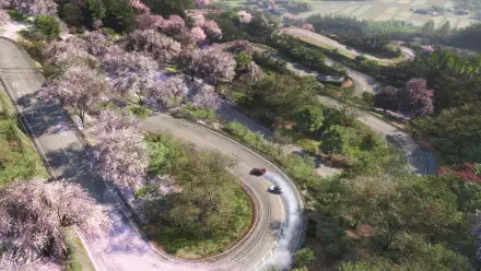 Aerial view of winding mountain road lined with pink blossom trees, sports cars drifting — Forza Horizon 6 4K Ultra HD PC desktop wallpaper/background.