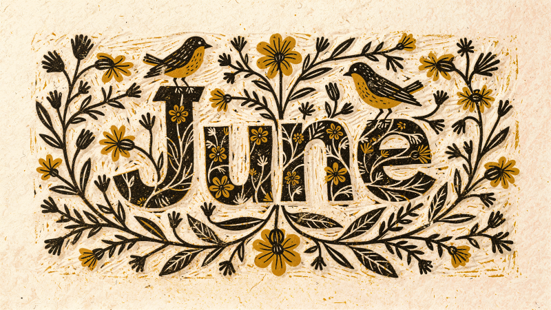 {{ Hand-drawn floral typography spelling June with yellow flowers and two birds on a rustic textured paper — 4K Ultra HD PC desktop wallpaper and background. 