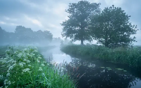Misty river winding through grassy banks under a cloudy sky, white wildflowers at the water’s edge — 5K Ultra HD PC desktop wallpaper of tranquil nature.