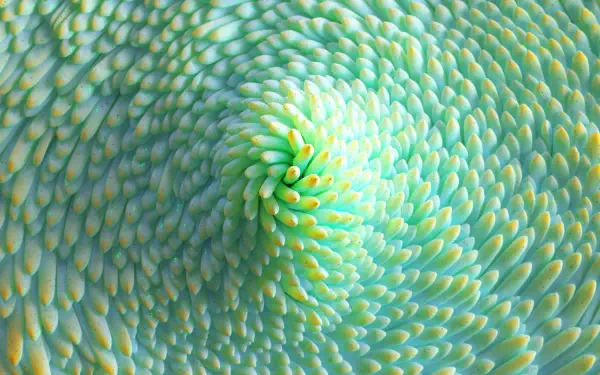 Light green abstract 3D rendering of swirling textured scales, digital art; 2K Quad HD PC desktop wallpaper and background.