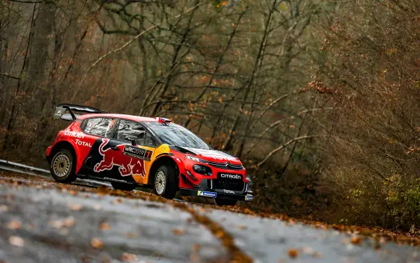 WRC Citroen C3 racing on a wet forest road, Red Bull-liveried Citroen WRC in motion — 2K Quad HD PC desktop wallpaper and background.