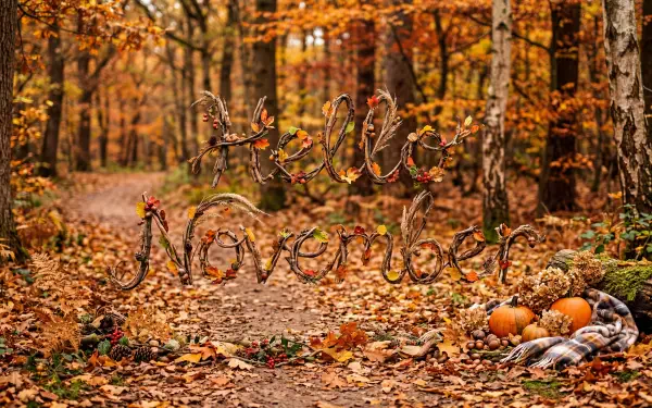 Hello November script formed from branches over a leaf-strewn forest path with pumpkins, 5K Ultra HD PC desktop wallpaper/background capturing rich autumn colors.
