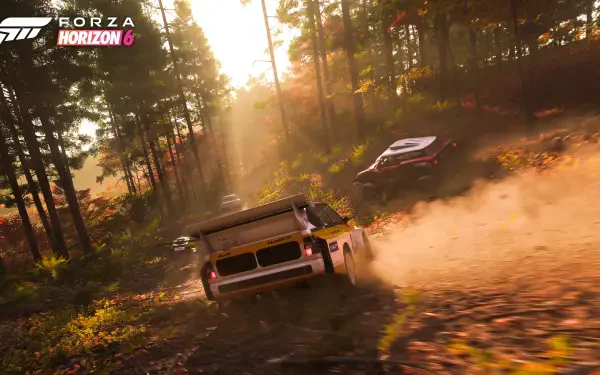 Forza Horizon 6 video game 4K Ultra HD PC desktop wallpaper: two rally cars kick up dust racing through a sunlit forest trail.