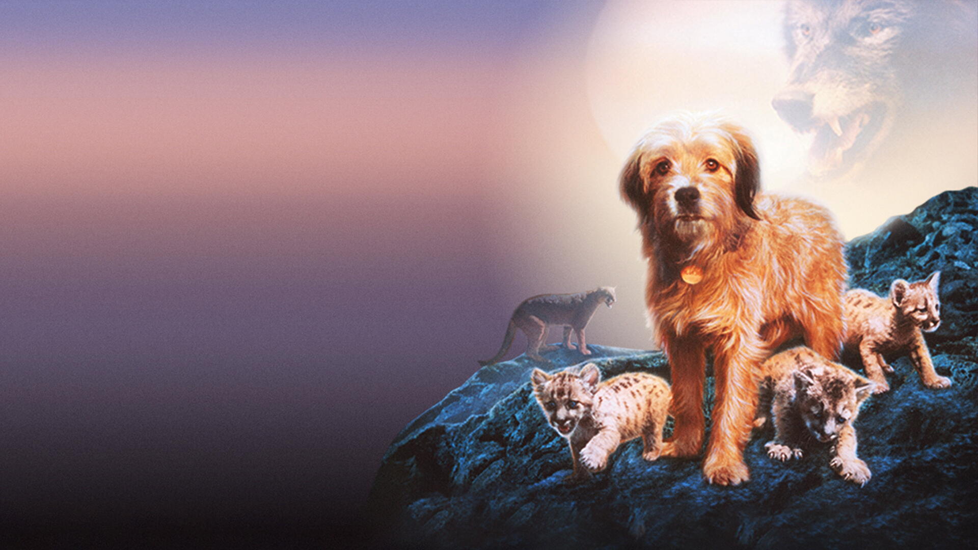 Benji: The Hunted — 4K Ultra HD PC desktop wallpaper/background of a golden-brown dog standing on rocks amid kittens, with a ghostly large canine face against a pastel sky.