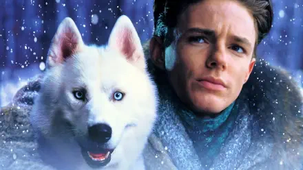 Iron Will HD PC desktop wallpaper and background: a determined man in winter clothing beside a white husky with piercing blue eyes, snowflakes drifting across a frosty night.