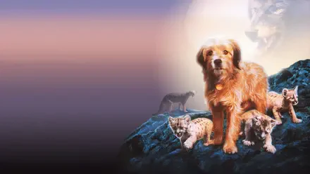 Benji: The Hunted — 4K Ultra HD PC desktop wallpaper/background of a golden-brown dog standing on rocks amid kittens, with a ghostly large canine face against a pastel sky.