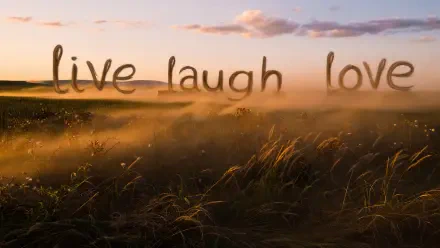 5K Ultra HD PC desktop wallpaper: live laugh love script floating above a misty golden field at sunrise.