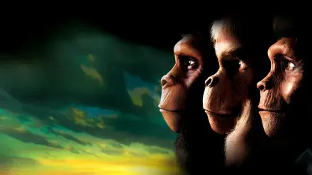Planet of the Apes (1968) 4K Ultra HD PC Desktop Wallpaper and Background — three ape profiles stare toward a dramatic, storm-tinted sunset sky.