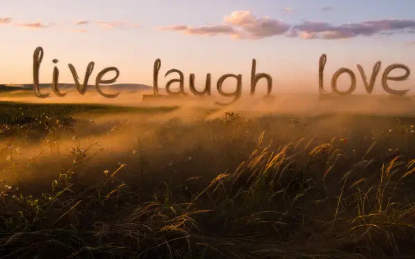 5K Ultra HD PC desktop wallpaper: live laugh love script floating above a misty golden field at sunrise.
