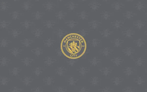 Manchester City F.C. gold crest centered on a textured gray 2K Quad HD PC desktop wallpaper background.