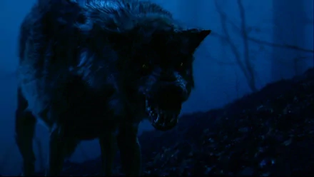 Dark wolf snarls in a shadowy forest scene from the movie Season of the Witch (2011), presented as an HD PC desktop wallpaper and background.