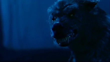 HD desktop wallpaper featuring a dark, menacing wolf from the movie Season of the Witch (2011), set against a shadowy blue forest background.