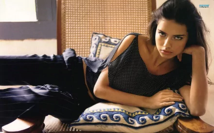 HD PC desktop wallpaper featuring celebrity Adriana Lima reclining on patterned cushions with a relaxed yet intense expression.