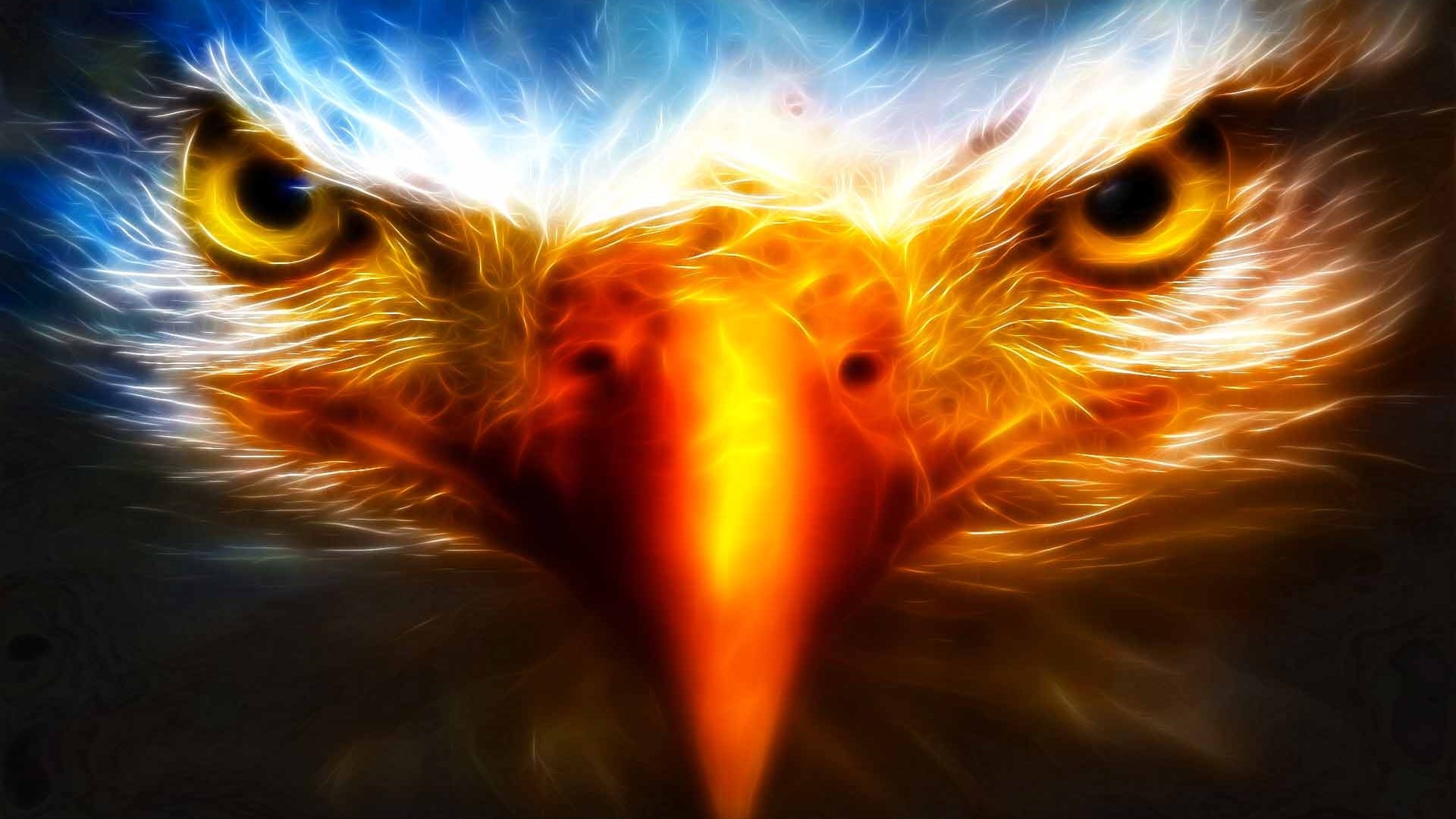 HD desktop wallpaper Fantasy Fire Bird Eagle Fantasy Animals download  free picture 389529
