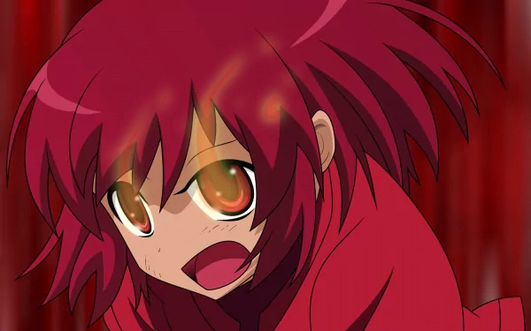 Minori Kushieda Anime Toradora! HD Desktop Wallpaper | Background Image