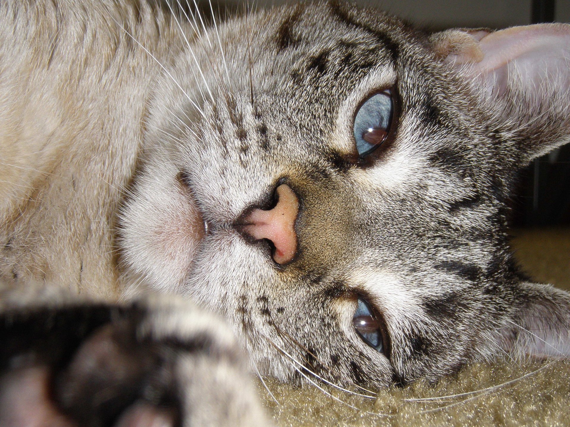 Relaxing by DumbBlonde