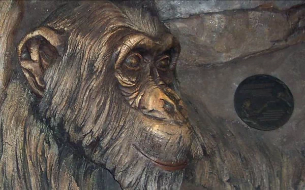 man made carving HD Desktop Wallpaper | Background Image