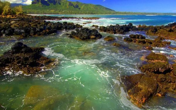 A stunning HD desktop wallpaper featuring a serene beach with clear turquoise tide pools, rugged rocks, and a lush, green mountainous backdrop under a bright blue sky.