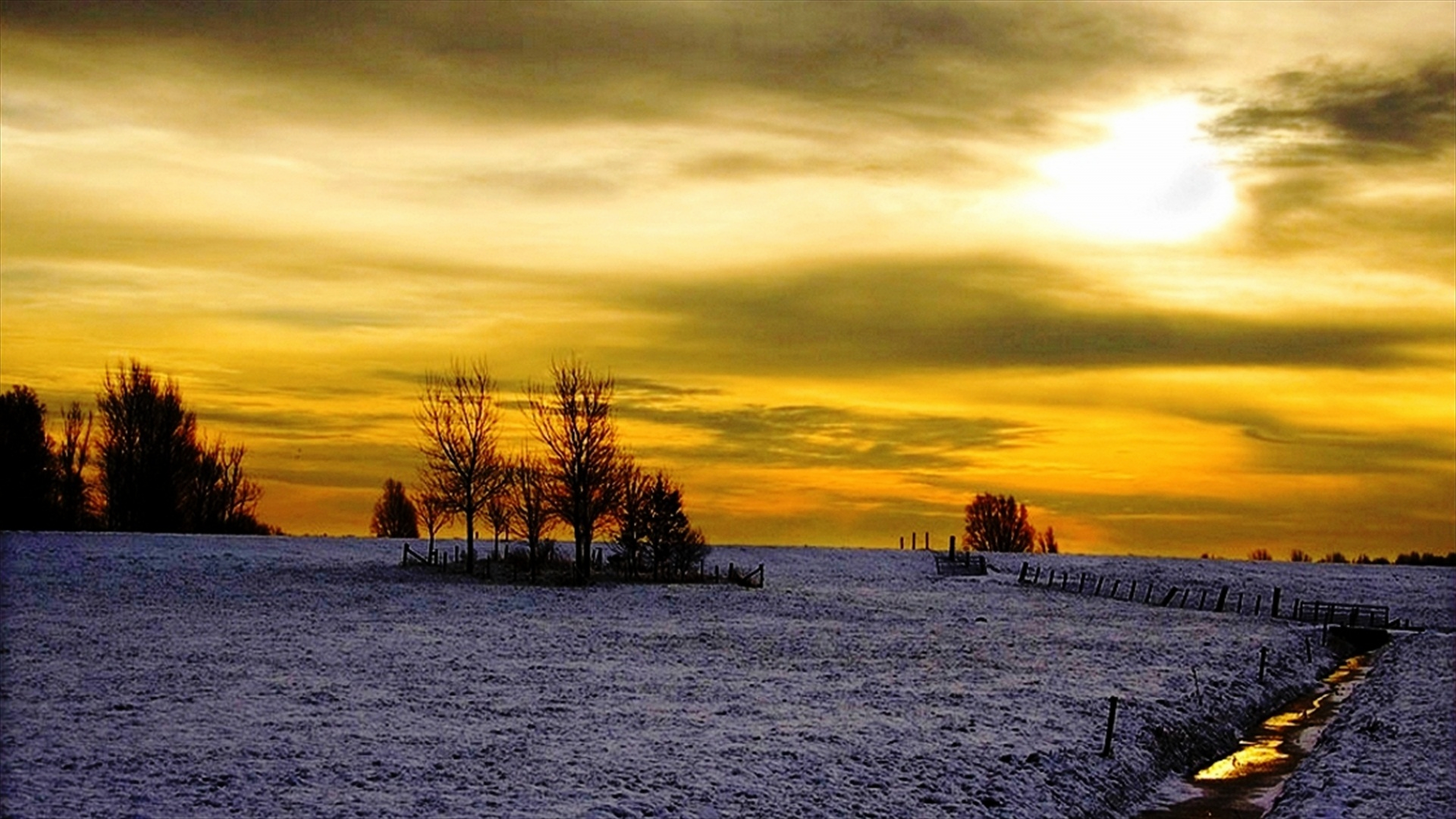 Download Nature Winter 4k Ultra HD Wallpaper