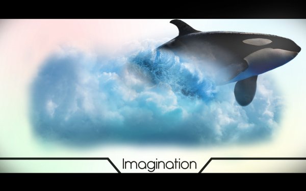 Animal Whale Killer Whale Orca Cloud Photoshop Basset HD Wallpaper | Background Image