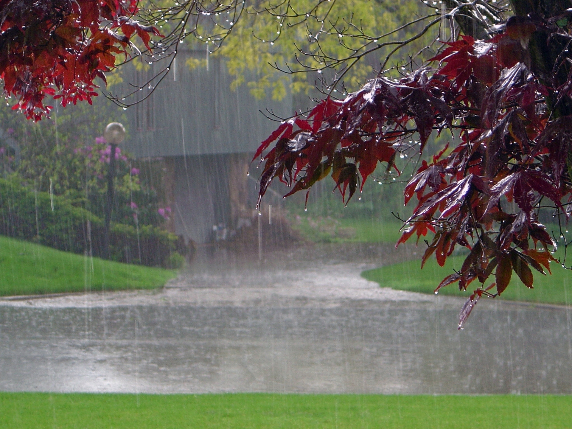 Photography of a rainy fall day