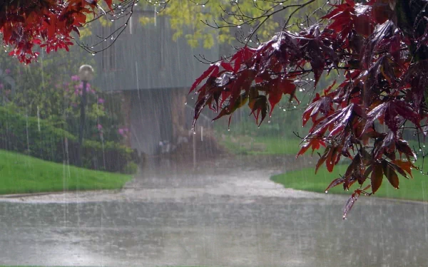 fall photography rain HD Desktop Wallpaper | Background Image