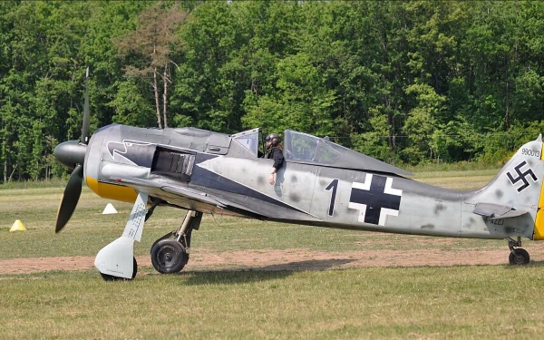 military aircraft Focke-Wulf Fw 190 HD Desktop Wallpaper | Background Image