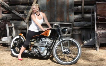H-D Motorcycle Girl 横80, 縦59cm キャンパス地 thumb-350-161523.webp