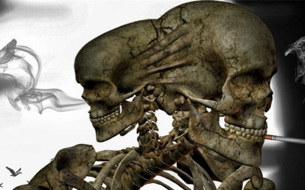 130+ Skeleton HD Wallpapers | Background Images