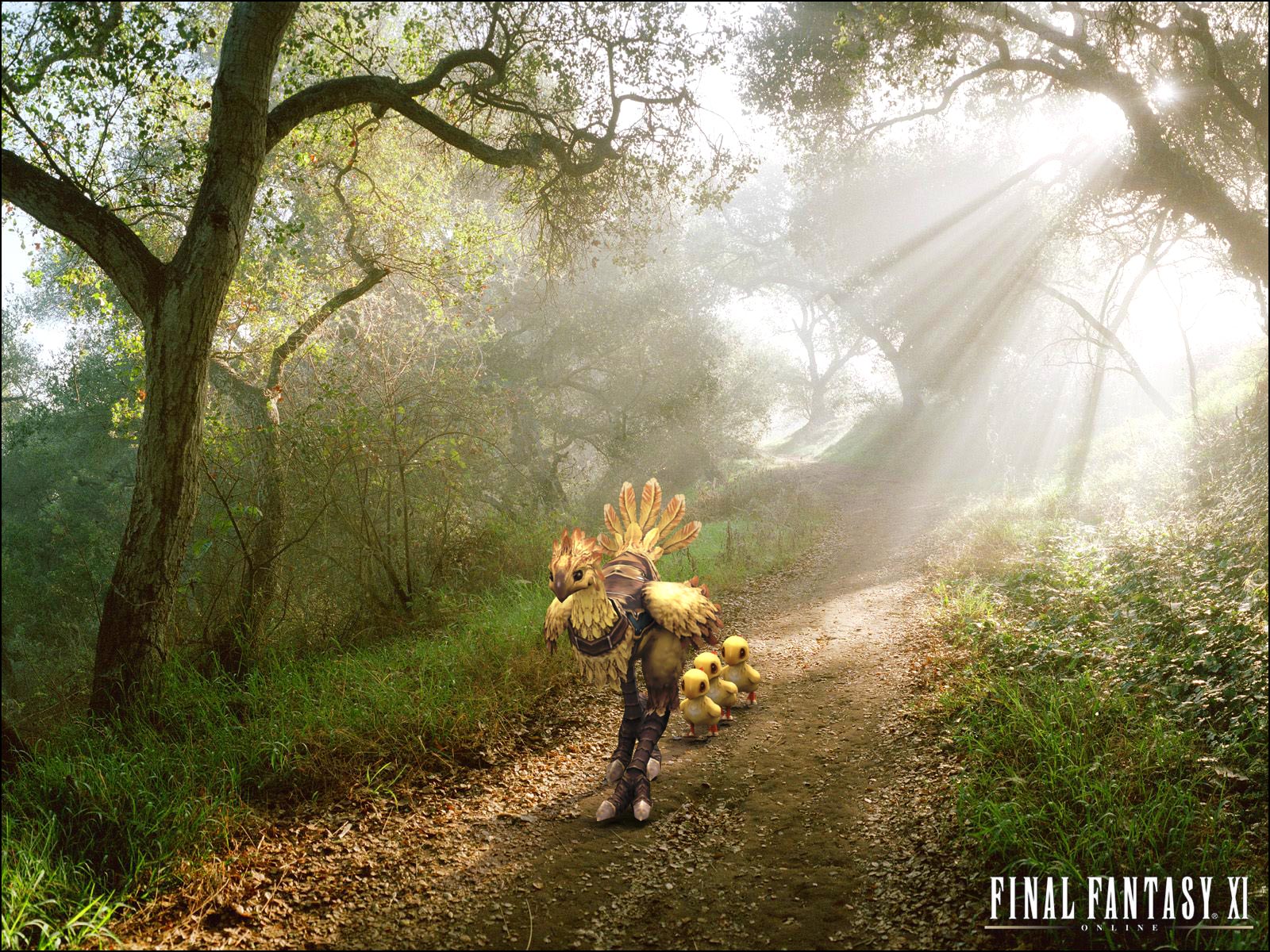 Video Game Final Fantasy XI HD Wallpaper | Background Image
