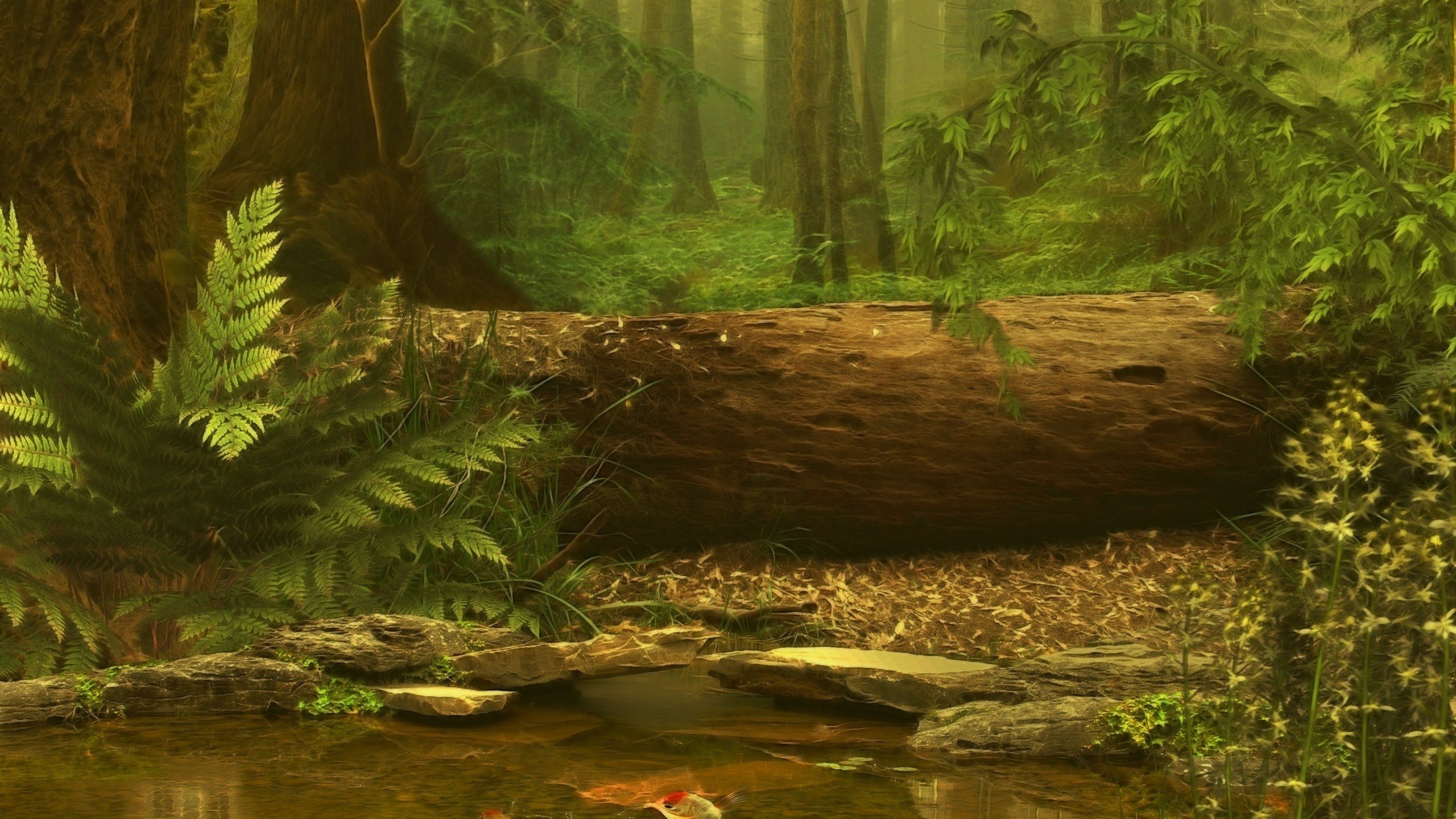 Forest Full HD Wallpaper and Background | 2560x1440 | ID:169551