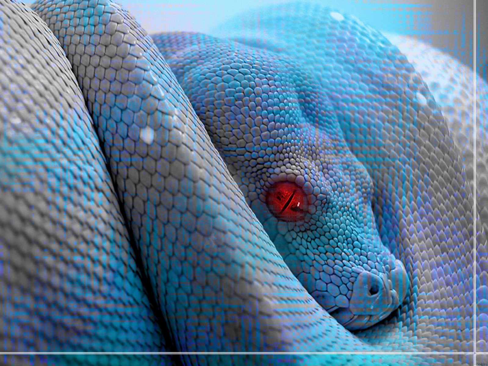 3d snake with striking red and black colors on Craiyon