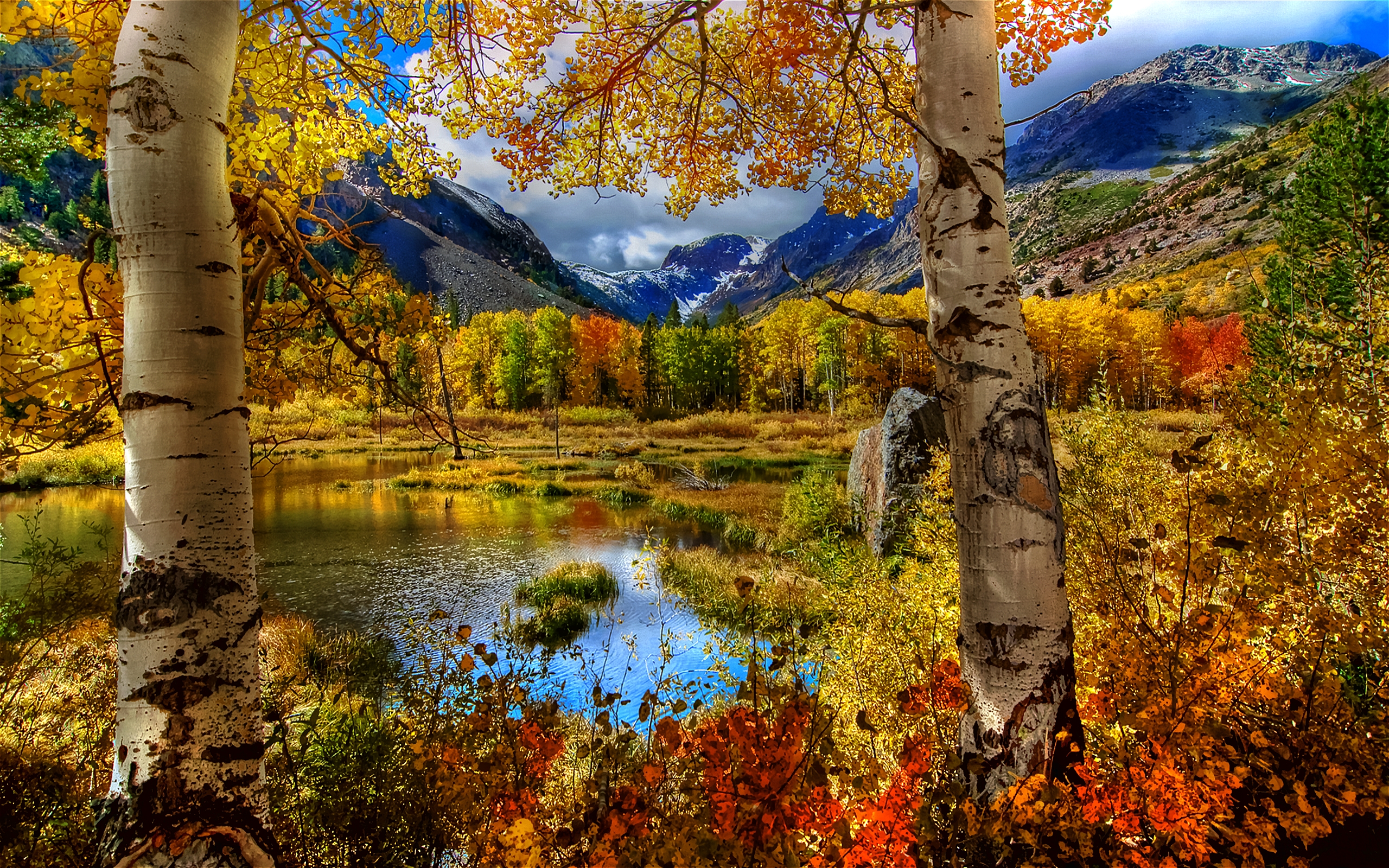 Aarde/Natuur Herfst HD Wallpaper | Achtergrond