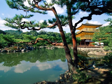 HD desktop wallpaper of Kinkaku-ji, a Japanese religious site, showcasing the iconic golden pavilion reflected in a serene pond surrounded by lush greenery and trees.