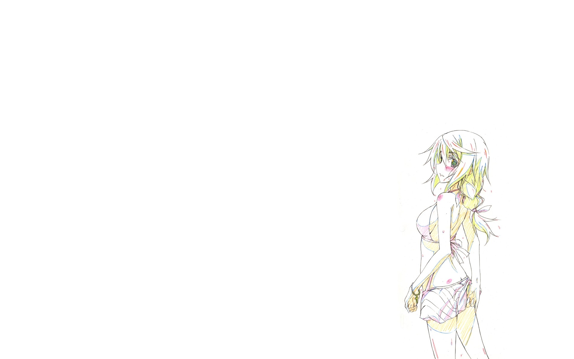 Anime Infinite Stratos HD Wallpaper | Background Image