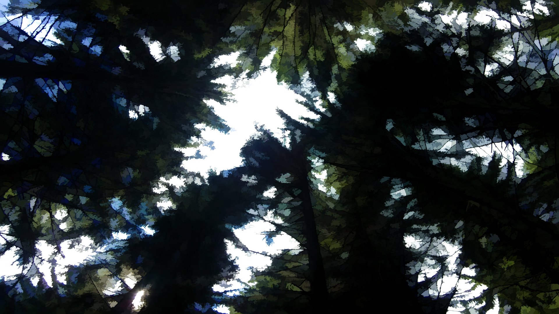 Download Artistic Nature HD Wallpaper by mitko935