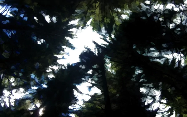 artistic nature HD Desktop Wallpaper | Background Image