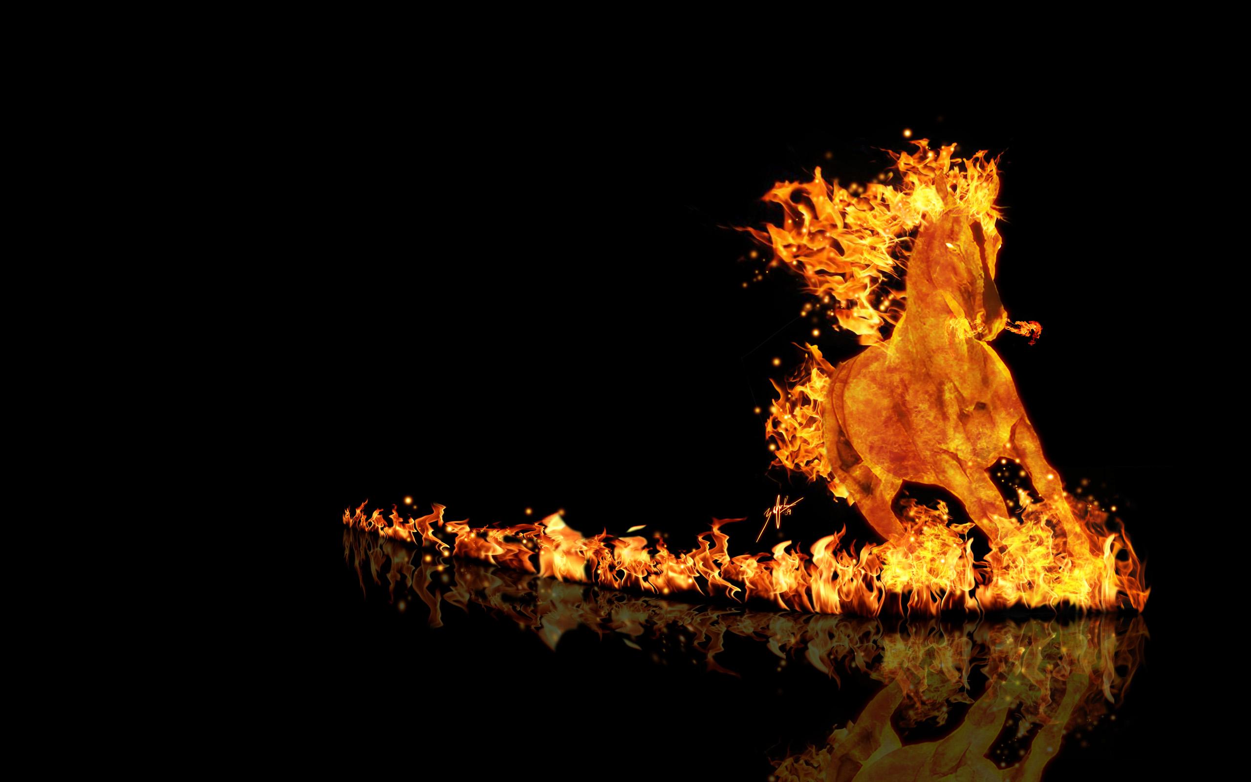 burning horse Full HD Wallpaper and Background Image  2560x1600  ID:183721